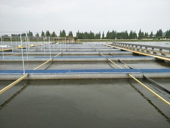 Aquaculture Water Treatment